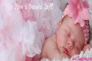 Cute Baby